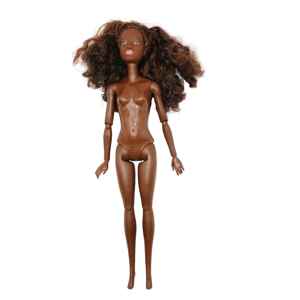 Barbie Fashionistas Doll African American AA Jointed Articulated 2 Tone Hair